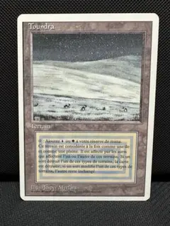 2026年最新】tundra mtgの人気アイテム - メルカリ