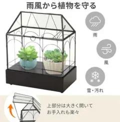 2026年最新】温室 ガラスケースの人気アイテム - メルカリ