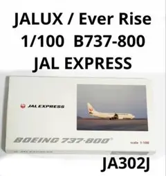 2026年最新】JAL 737 1/100の人気アイテム - メルカリ