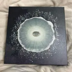 2026年最新】Siip 完全生産限定の人気アイテム - メルカリ