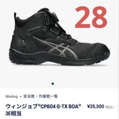 2026年最新】アシックス安全靴 28 ゴアテックスの人気アイテム - メルカリ