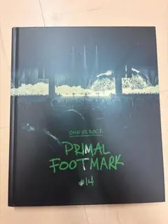 2026年最新】one ok rock primal footmarkの人気アイテム - メルカリ