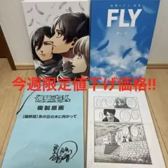 2026年最新】進撃の巨人画集FLYの人気アイテム - メルカリ