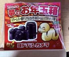 2026年最新】ミラーレス一眼デジタルカメラの夢の人気アイテム - メルカリ