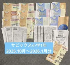 2026年最新】デイリーサピックス国語の人気アイテム - メルカリ