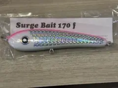 2026年最新】ローカルスタンダード サージベイト170の人気アイテム