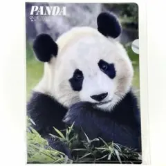 2026年最新】アドベンチャーワールド クリアファイルの人気アイテム