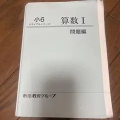 2026年最新】市進 テキストの人気アイテム - メルカリ