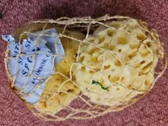 2026年最新】海綿の人気アイテム - メルカリ