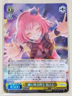 2026年最新】ヴァイス プロセカ srの人気アイテム - メルカリ