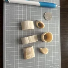 2026年最新】マッコウクジラの歯の人気アイテム - メルカリ