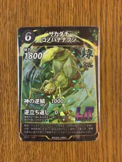 2026年最新】サカダチコノハナナフシの人気アイテム - メルカリ