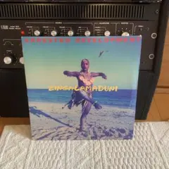 2026年最新】ZINGALAMADUNIの人気アイテム - メルカリ