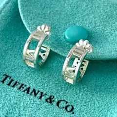 2026年最新】tiffany ピアス アトラスの人気アイテム - メルカリ