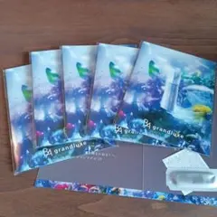 2026年最新】pola グランラグゼの人気アイテム - メルカリ