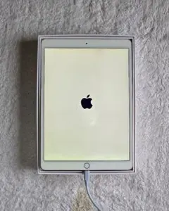 2026年最新】ipad 第10世代 ジャンクの人気アイテム - メルカリ