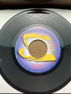 2026年最新】ジャパニーズレゲエ レコードの人気アイテム - メルカリ