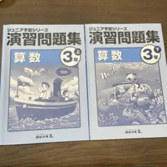 2026年最新】ジュニア予習シリーズ 3年の人気アイテム - メルカリ