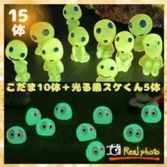 2026年最新】こだま蓄光の人気アイテム - メルカリ