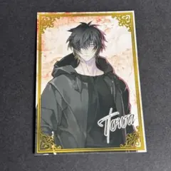 2026年最新】スロウダメージ トワの人気アイテム - メルカリ