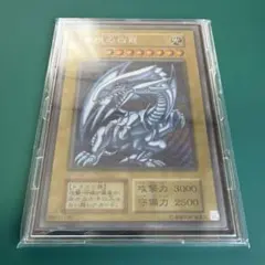 2026年最新】シクブル 海馬セットの人気アイテム - メルカリ