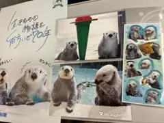 2026年最新】鳥羽水族館キラの人気アイテム - メルカリ