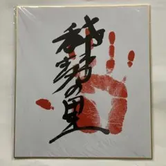 2026年最新】稀勢の里 色紙の人気アイテム - メルカリ