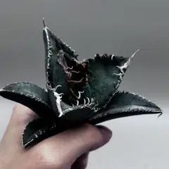 2026年最新】チタノタ悪魔くんの人気アイテム - メルカリ