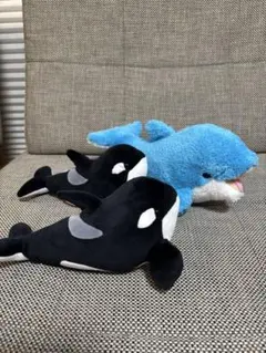 2026年最新】名古屋港水族館 シャチくじの人気アイテム - メルカリ