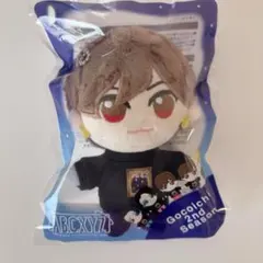 2026年最新】橋本良亮 ぬいぐるみの人気アイテム - メルカリ