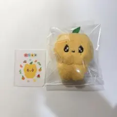 2026年最新】スングァン ぬいぐるみ マスターの人気アイテム - メルカリ