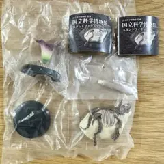 2026年最新】国立科学博物館の人気アイテム - メルカリ