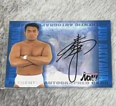 2026年最新】秋山_準の人気アイテム - メルカリ