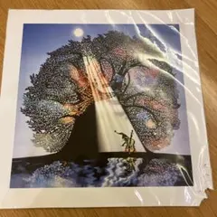 2026年最新】藤城清治 額の人気アイテム - メルカリ