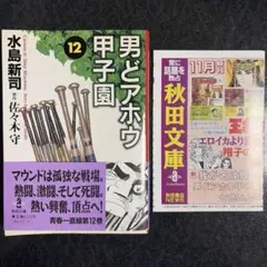2026年最新】男どアホウ甲子園 全巻の人気アイテム - メルカリ