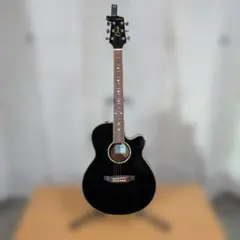 2026年最新】Cooder by Takamine アコースティックギターの人気