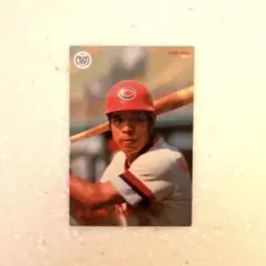 2026年最新】衣笠祥雄の人気アイテム - メルカリ