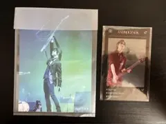 2026年最新】DIr en grey ラッフルの人気アイテム - メルカリ