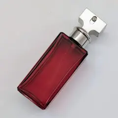 2026年最新】エタニティ ローズブラッシュの人気アイテム - メルカリ