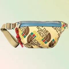 2026年最新】north face gucci バッグの人気アイテム - メルカリ