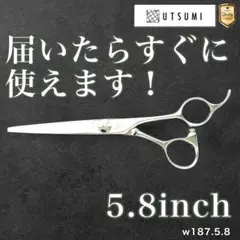 2026年最新】内海 シザーの人気アイテム - メルカリ