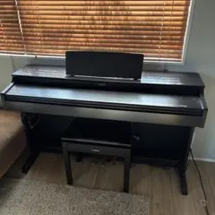 2026年最新】ARIUS ydp-163の人気アイテム - メルカリ