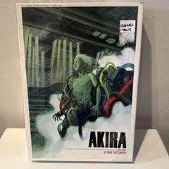 2026年最新】akiraパズルの人気アイテム - メルカリ