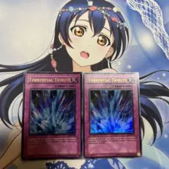 2026年最新】アジア 激流葬の人気アイテム - メルカリ