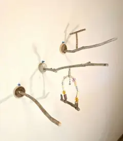 2026年最新】天然木バードジムの人気アイテム - メルカリ