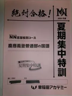 2026年最新】NN早稲田の人気アイテム - メルカリ