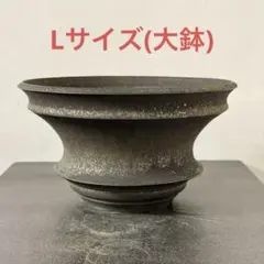 2026年最新】カタチ製作所 鉢の人気アイテム - メルカリ