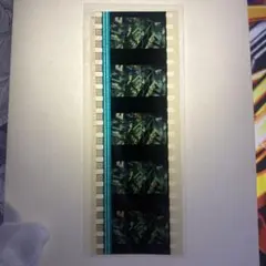 2026年最新】マクロスF フィルムの人気アイテム - メルカリ