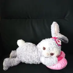 2026年最新】ステラ・ルー、バレンタインの人気アイテム - メルカリ