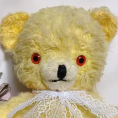 2026年最新】ペディグリー ベアの人気アイテム - メルカリ